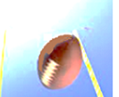 Madden's Play Action Pass