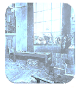 the hotel side garden