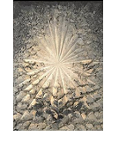 Jay DeFeo's The Rose