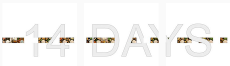 image from photo album